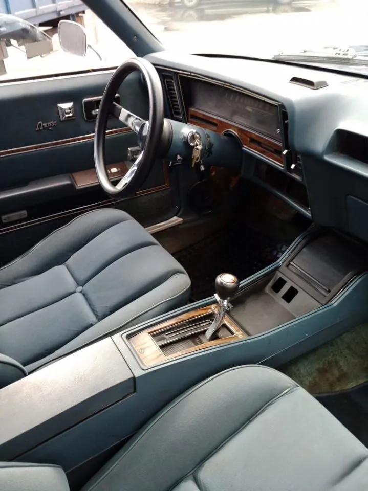 Oldsmobile Omega — фото 11